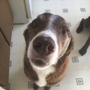 Meet your Posher, Chloe